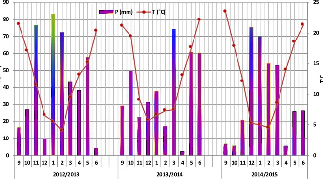 Figure  4. Pluviométrie et température moyenne mensuelle du site ITGC de Sétif des  trois campagnes d’études