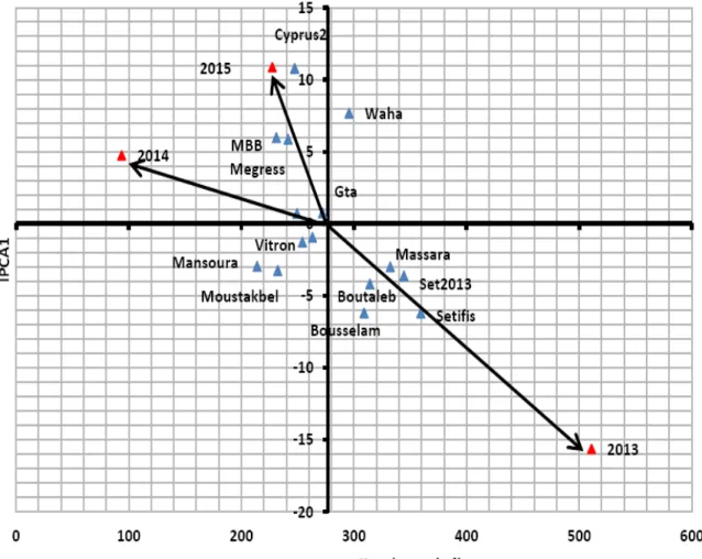 Figure  17.    Biplot  AMMI 1   du  rendement  en  grains  des  15  génotypes  de  blé  dur 