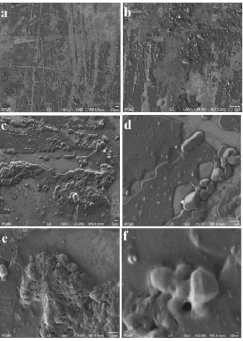 Fig. 6 Scanning electron micrographs of the ITO modified electrode surface with poly Ni(II)-L 2 ,
