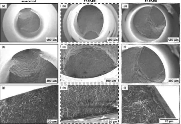 Fig. 10. SEM observations of the fractnre surfaces of (a), (d) and (g) as-received sample; (b), (e) and (h) ECAP-RR sample; (c), (f) and (i) ECAP-RH sample tested at  90% of the UTS in 0.5 M NaCl at E corr • The corrosion fatigue tests were performed at 25