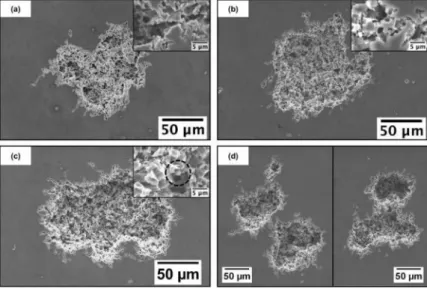 Fig.  13.  SEM  observations  of  corrosion  pits  after polarisation during lOmin at 7m.A cm-2  in 0.5 M NaCI for (a) the as-received, (b) ECAP­ RR and  (c)  ECAP-RH  samples