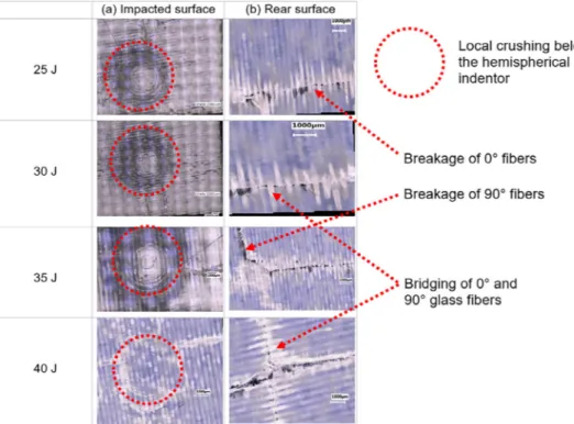 Fig. 11. Macroscopic observations of carbon- carbon-glass ﬁbers reinforced PEEK composite  lami-nates subjected to diﬀerent impact energies: (a) Impacted surface – (b) Rear surface.