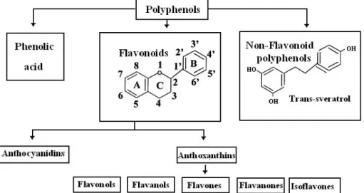 Figure 8.  Classification and structure of natural polyphenols. (Modified from Weinreb et al.,  2004)