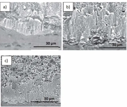 Fig. 1. SEM images of cross-sectional substrate of anodized using H�O 4  at 12 V during  a) 10 min,  b) 20 min and c) 30 min