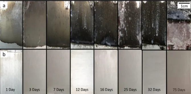 Fig. 6 shows the electrochemical polarization curves of integrated hybrid self healing coating (A3 Ce GTL), compared with A3 GTL, A3 and bare AA2024 substrates tested in 3.5 wt% NaCl solution.