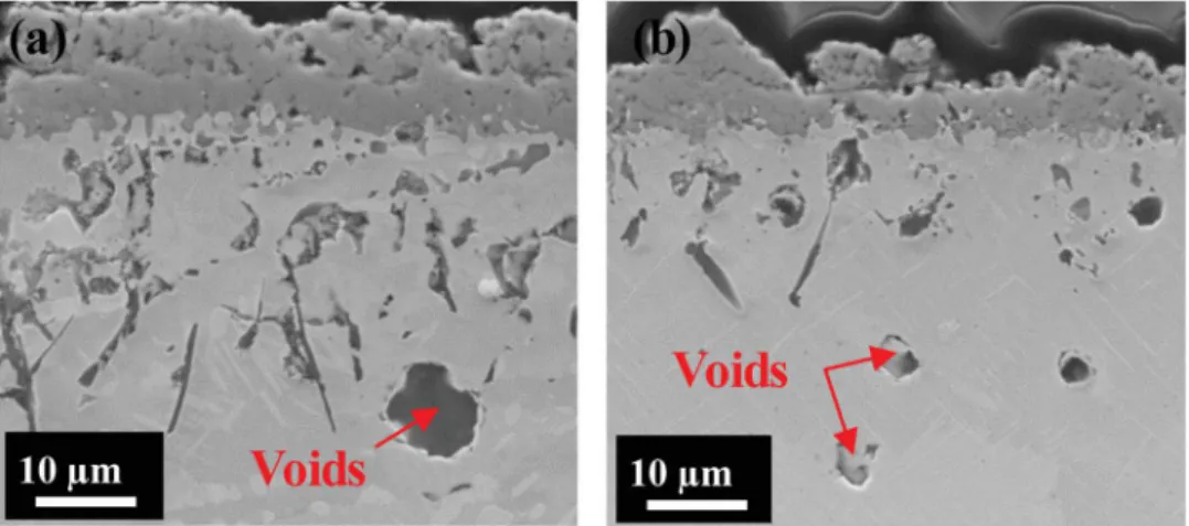 Fig. 7. SEM-SE micrographs of the cross-section of oxidised (a) LBM and (b) EBM samples, both ground with P600 SiC paper, for 3000 h in static lab air.
