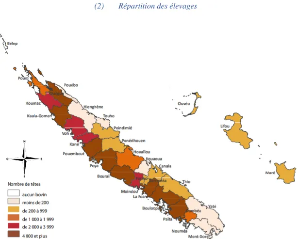 Figure 5: Carte de la répartition des bovins en Nouvelle-Calédonie (Davar, Isee, 2012) 