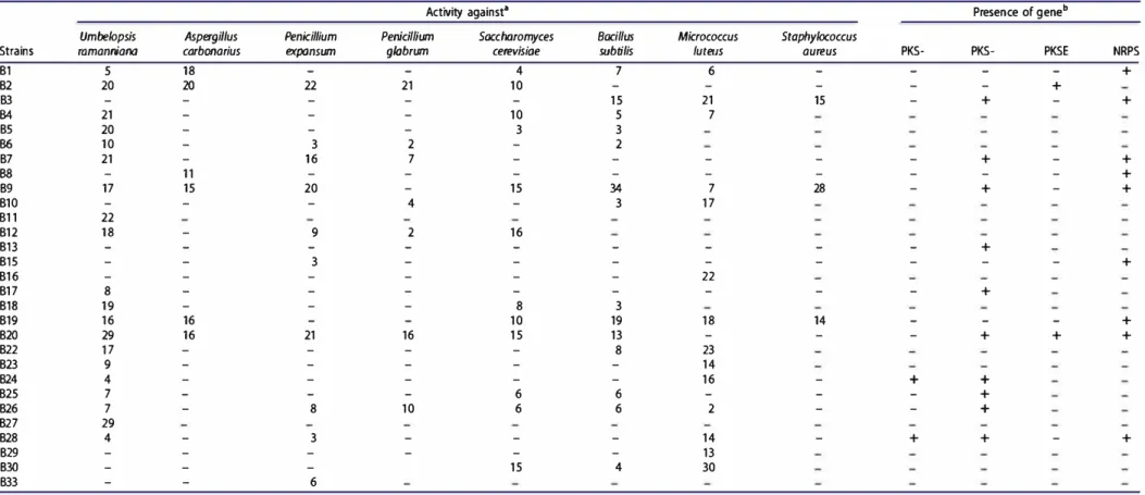 Table 4.  Antimicrobia  activities and  PKSs/NRPS  genes  of a ka ito erant actinobacteria iso ated from  Saharan soi s