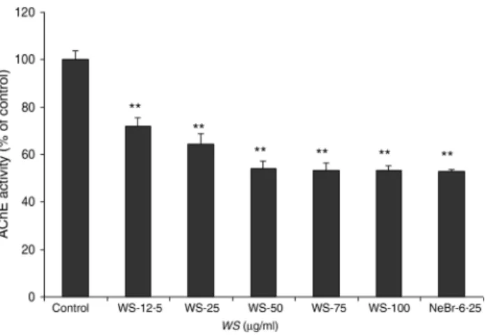 Fig. 1. Effect of Withania somnifera (WS) extract on rat brain acetylcholines- acetylcholines-terase (AChE) activity