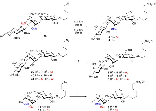 Fig. 4 Global deprotection allowing access to target oligosaccharides. Reagents and conditions: a H 2 NNH 2 .HOAc, MeOH/DCM 5:2, RT, overnight; b TREAT-HF, THF, re ﬂux, 24 h, 92% (over two steps); c H-Cube, 20% Pd(OH) 2 /C, HCl (2.0 equivalents), 10 bars, 