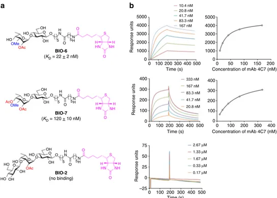 Fig. 174). The conjugates were ∼95% protein (w/w) as measured