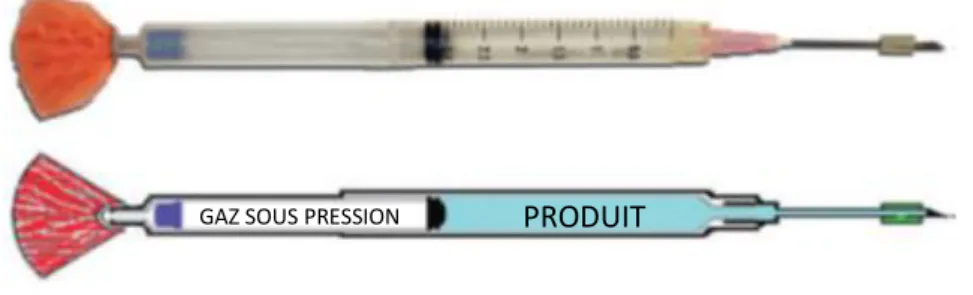 Figure 1 - Photographie et schéma d’une flèche ou seringue de téléinjection (West et al