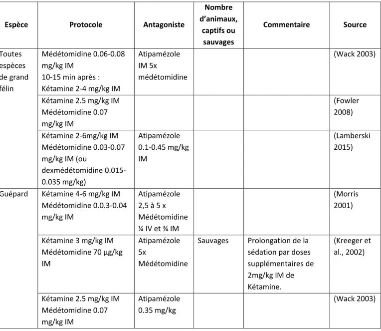 Tableau 3 - Protocoles à base de Kétamine et Médétomidine ou Dexmédétomidine dans la littérature