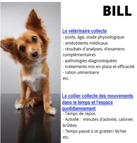 Figure 4 : Type de données collectées chez un chien 