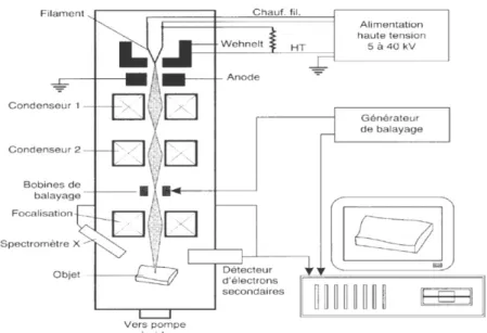 Figure II. 2:Principe du microscope électronique à balayage.  II.2.2.2. Microscopies en champ proche : 