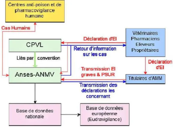 Figure  1 :  Description  du  système  de  pharmacovigilance  vétérinaire  français  (source :  Anses.fr) 