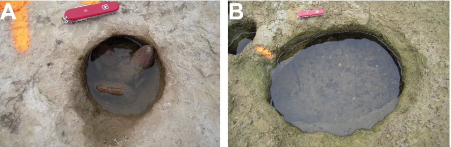 Fig. 2 – Exemple d’un trou d’eau circulaire (A) et d’un trou d’eau elliptique (B).