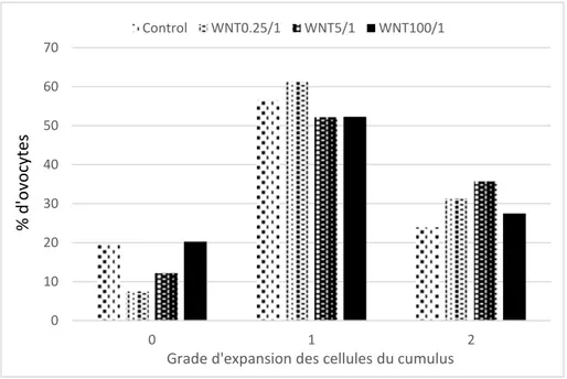 Figure  8 :  Effet  de  l’ajout  de  la  protéine  WNT-2b  sur  la  maturation  ovocytaire  in  vitro  chez  la  jument :  répartition des ovocytes en fonction des grades d’expansion des cellules du cumulus pour différents groupes : 