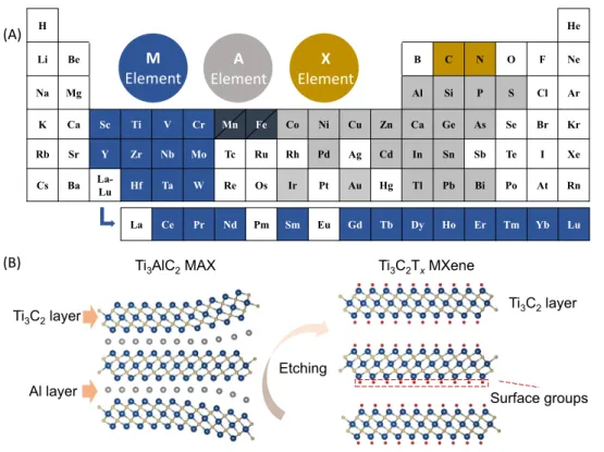 Figure 1. The MAX Phase and MXene Chemistry. (A) Periodic table of the elements showing the updated MAX phase