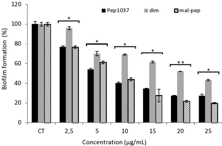 Fig 5. Effect of pep1037, cys-pep1037 dimer and mal-cys-pep1037 on the degradation of an established biofilm of a P