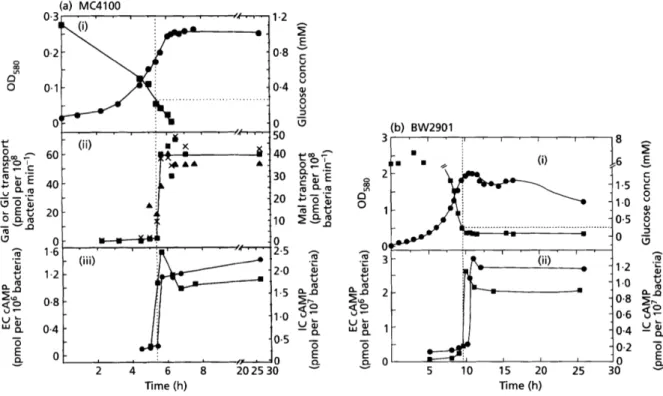 Figure 1.17  A massive spike in cAMP goes with a slump in extracellular substrate, hinting at a change in the cells' uptake strategy (borrowed from NotleyMcRobb &amp; al