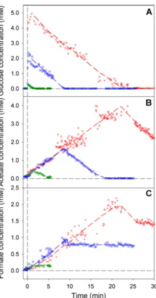 Figure 1.24  Time evolution of the glucose, acetate, and formate in the wake of a pulse of various intensities, 0.08g.L −1 (green curves), 0.4g.L −1 (blue curves) and 1g.L −1 (red curves), imposed in a steadystate chemostat (D = 0.15h −1 ) (borrowed from