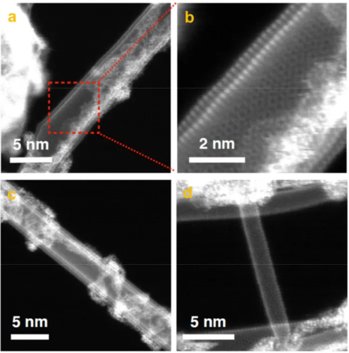 Figure S3. High-resolution STEM image of the main types of CNTs observed: (a and b) double-walled CNTs, (c) a triple-walled CNT, and (d) a single-walled CNT in the N-Co-Mo-GF/CNT sample