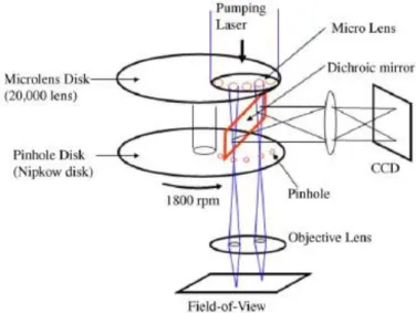 Figure 18.Principle of the spinning disk confocal laser scanning microscope [89] 