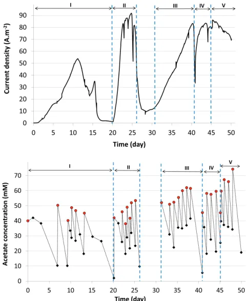 Fig. 2. Current density and acetate concentration vs. time recorded with the MEC pilot