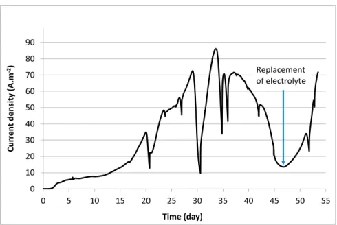 Fig. 3. Current density vs. time recorded with the MEC pilot. The bioanode was polarized at 0.1 V/SCE