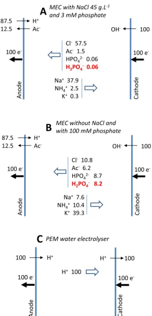 Fig. 2. Ion fluxes due to migration. The numbers of ions are calculated on the
