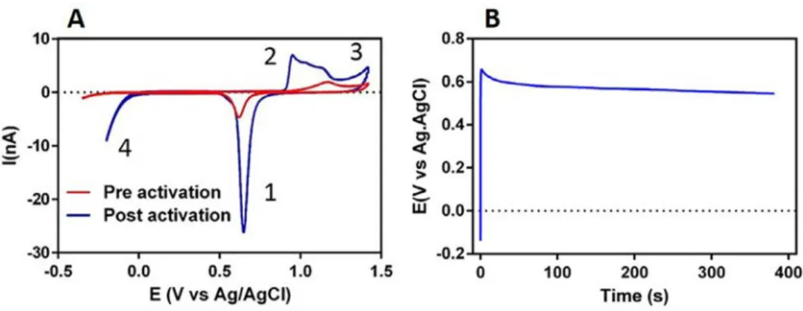 Fig.  3. Microelectrode activation. A) CV in H  2  SO  4  0.5 M at 200 mV/s between −0.4 and 1.5 V, of a gold microelectrode (20 μm  diameter) before and after activation (10 cycles of CA at 2 V for 250 ms and 0 V for 1 s)