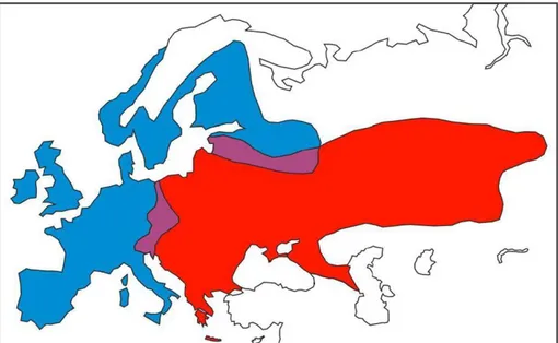 Figure 13 : Aires de répartition des deux principales espèces européennes de hérisson : Erinaceus europaeus  (en bleu) et Erinaceus concolor (en rouge)  [27]