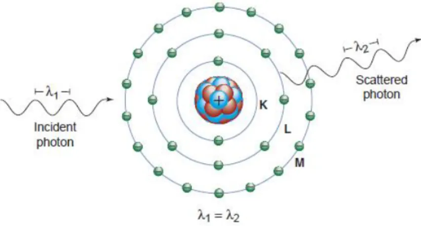 Figure 1. Diffusion Rayleight (Bushberg, 2012) 