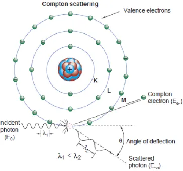 Figure 2. Effet Compton (Bushberg, 2012) 