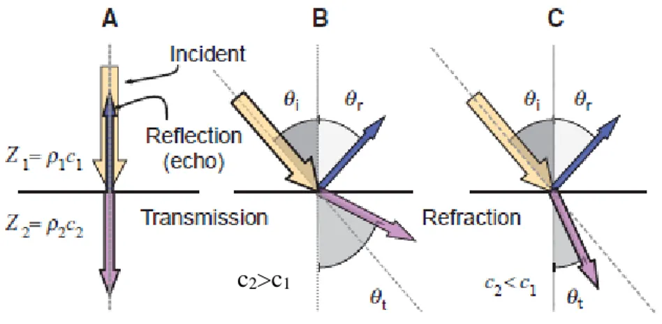Figure 8. Réflexion et réfraction (Bushberg, 2012) 
