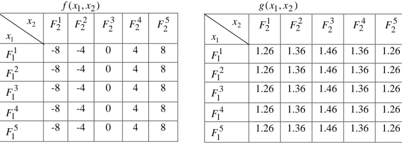 Fig. II.6 : Les Règles floues décrivant les fonctions f ( x 1 , x 2 ) et g ( x 1 , x 2 ) .