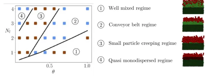 Figure 10: Mapping of the four different observed phenomenologies in the bidisperse transport process