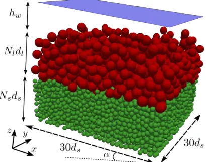 Figure 1: A typical numerical setup. Initially Nl layers of large particles (dl = 6 mm) are deposited by gravity on N s layers of small particles (d s = 3 mm)