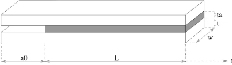 Figure 1: DCB specimen geometric data considered in the analytical model 