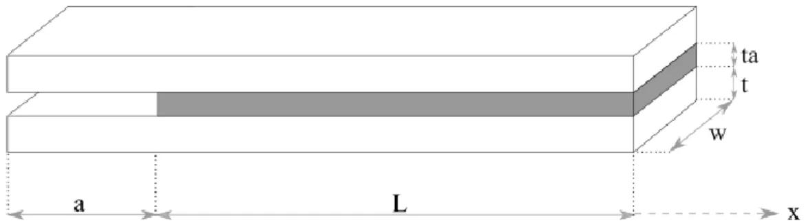 Figure 1: DCB specimen geometrical data considered in the analytical model 