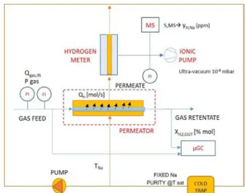 Fig. 3 – Experimental set-up for hydrogen permeation towards liquid sodium.