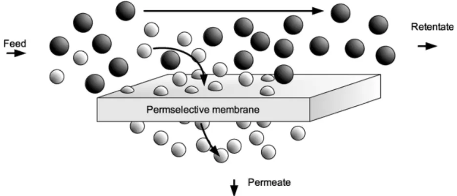 Figure I. 1. Concept simplifié de séparation par membrane  I. 3. CONCEPT DE REACTEUR MEMBRANAIRE 