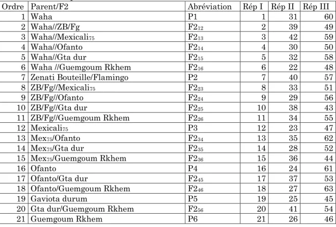 Tableau  4.  Randomisation  en  plein  champs  des  parents  et  des  F2  issues  d’un 
