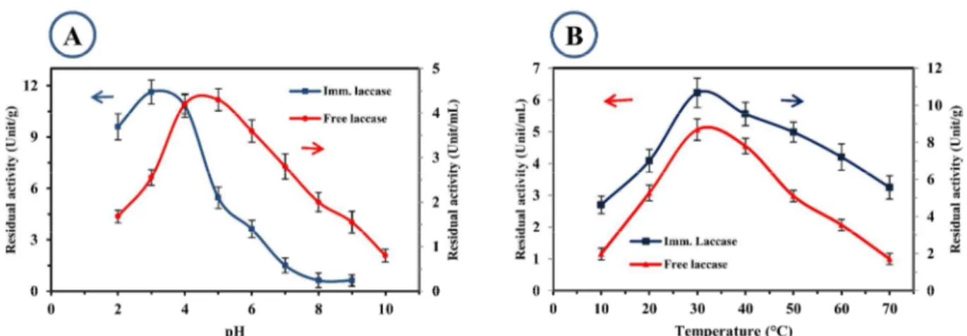 Figure 2: Effect of: A) pH; and B) temperature on activity of the free and immobilized laccase 