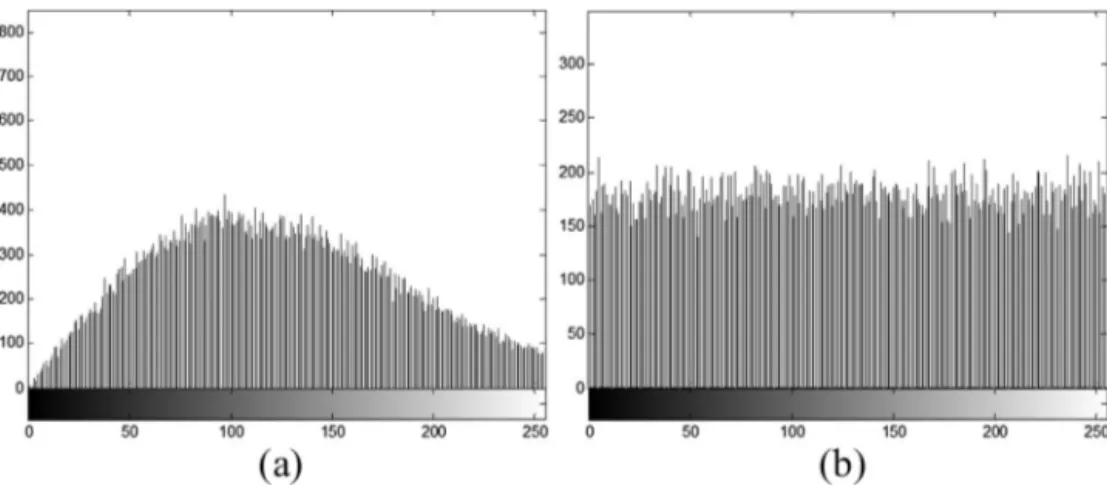 Fig. 9. Histogram of the (a) amplitude and (b) phase of the encrypted Barbara image using the proposed pre-encryption-based MPDFrFT-DRPE system.