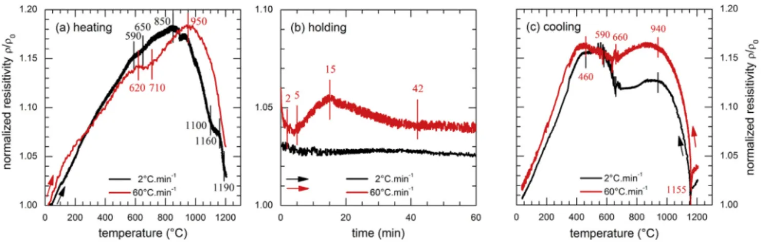 Fig. 5. SEM observations of the microstructure obtained at the end of the heat treat- treat-ment carried out during electrical resistivity measuretreat-ments of M2 sample