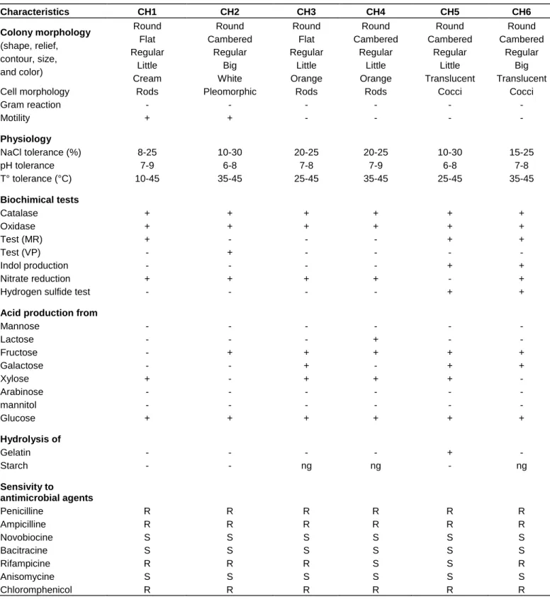 Table 2. Features of the extremely halophilic strains.  Characteristics  CH1  CH2  CH3  CH4  CH5  CH6  Colony morphology  (shape, relief,  contour, size,  and color)  Round Flat  Regular Little  Cream  Round  Cambered Regular Big White  Round Flat  Regular