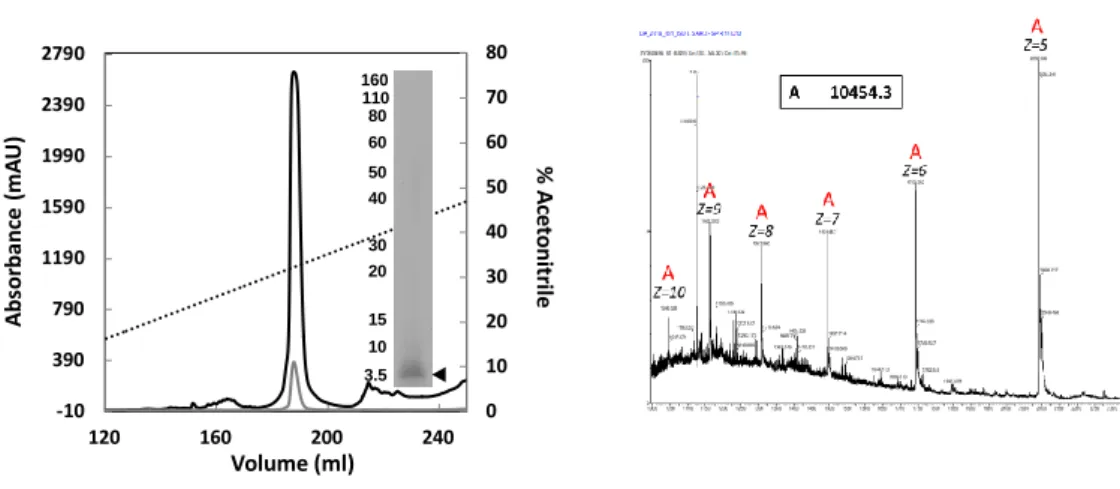 Figure  S7:  Composition  and  purity  of  the  (PQQPY) 17  sample.  (Left)  Chromatographic  profile  of  (PQQPY) 17   at 