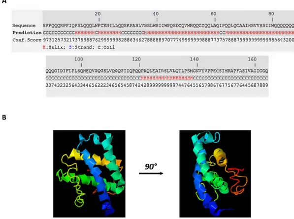 Fig. 1. i-Tasser  predictions of the C-terminal domain.A. Predicted secondarystructure